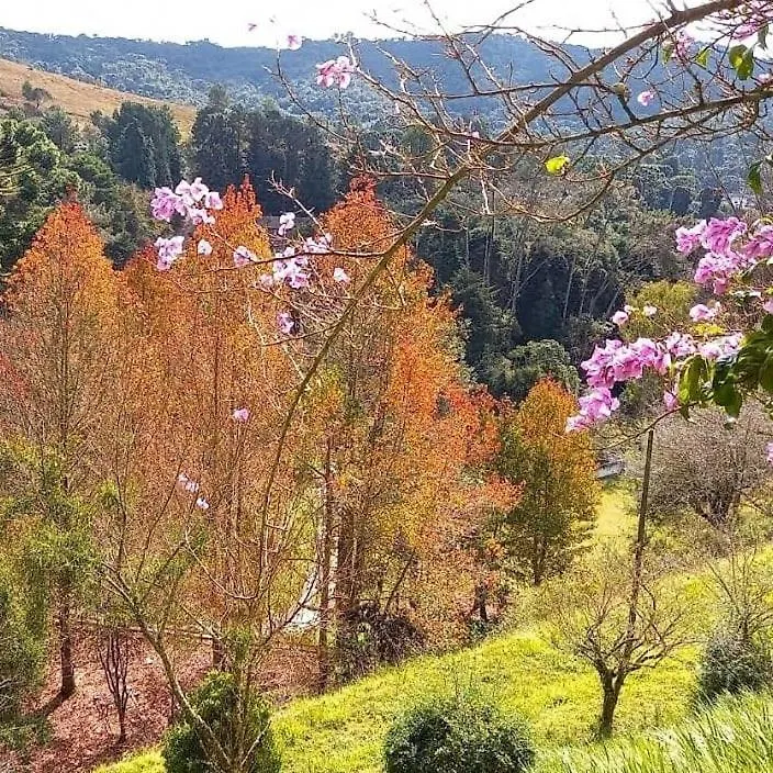 Colônia SAA Hotel Campos do Jordão 0*,